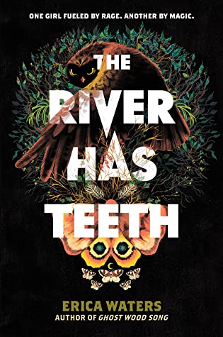 Cover of "The River Has Teeth," with title in large block white font against an illustration of an owl, a green bush, and a yellow and brown moth. The overall background color is black. 