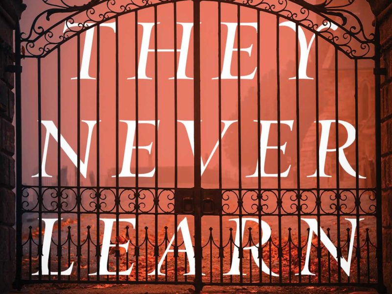 Cover of "They Never Learn," with the title in thin white font behind a photo of an intricate, gothic gate. the background is red with black shadows.